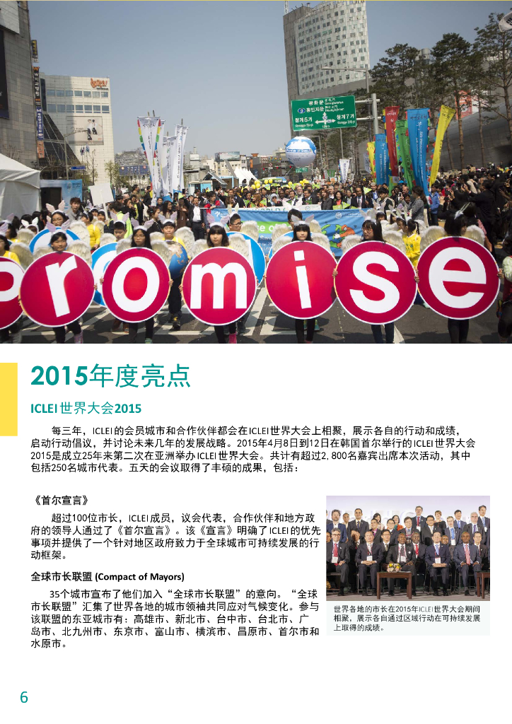 ICLEI：2015年度报告_第6页