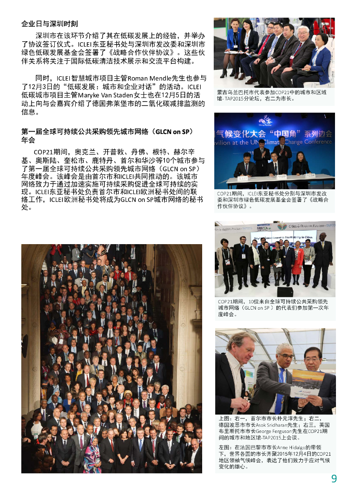 ICLEI：2015年度报告_第9页