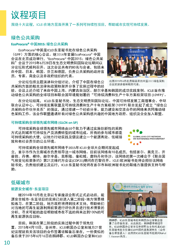ICLEI：2015年度报告_第10页
