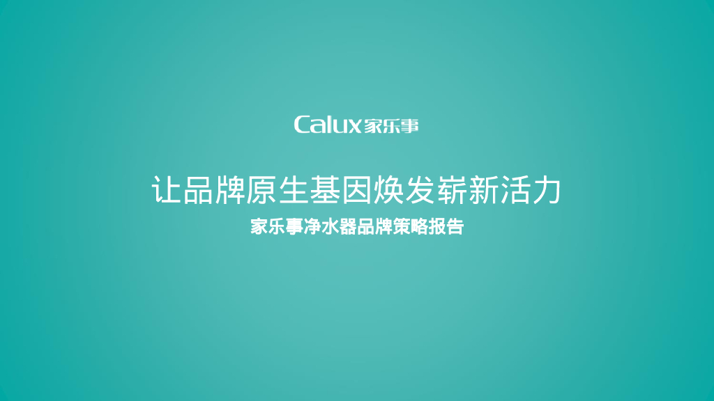 家乐事：品牌策略报告
