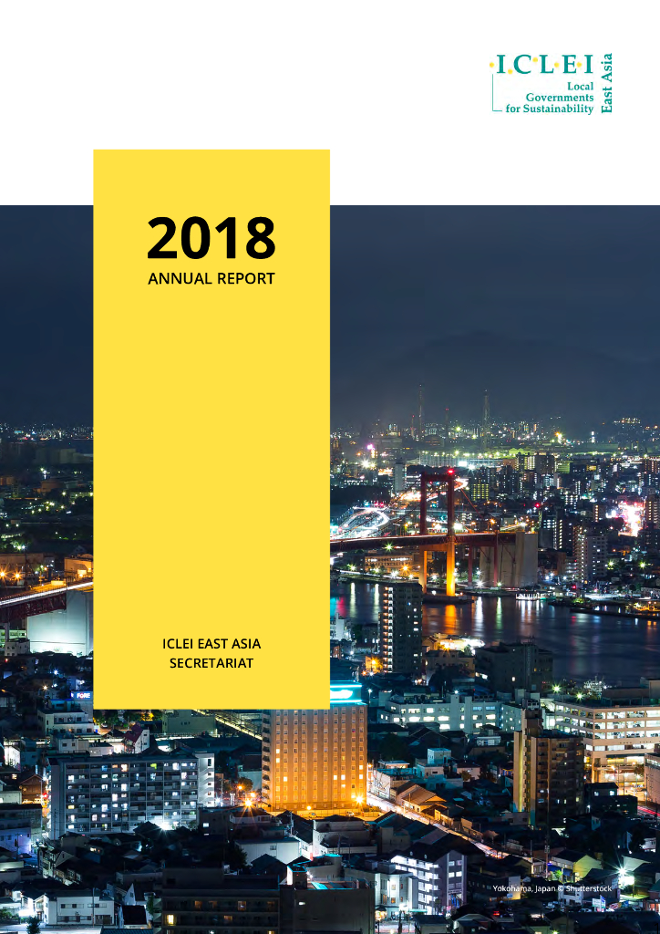 ICLEI：2018年度工作报告（英文版）