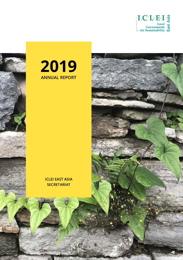 ICLEI：2019年度工作报告（英文版）