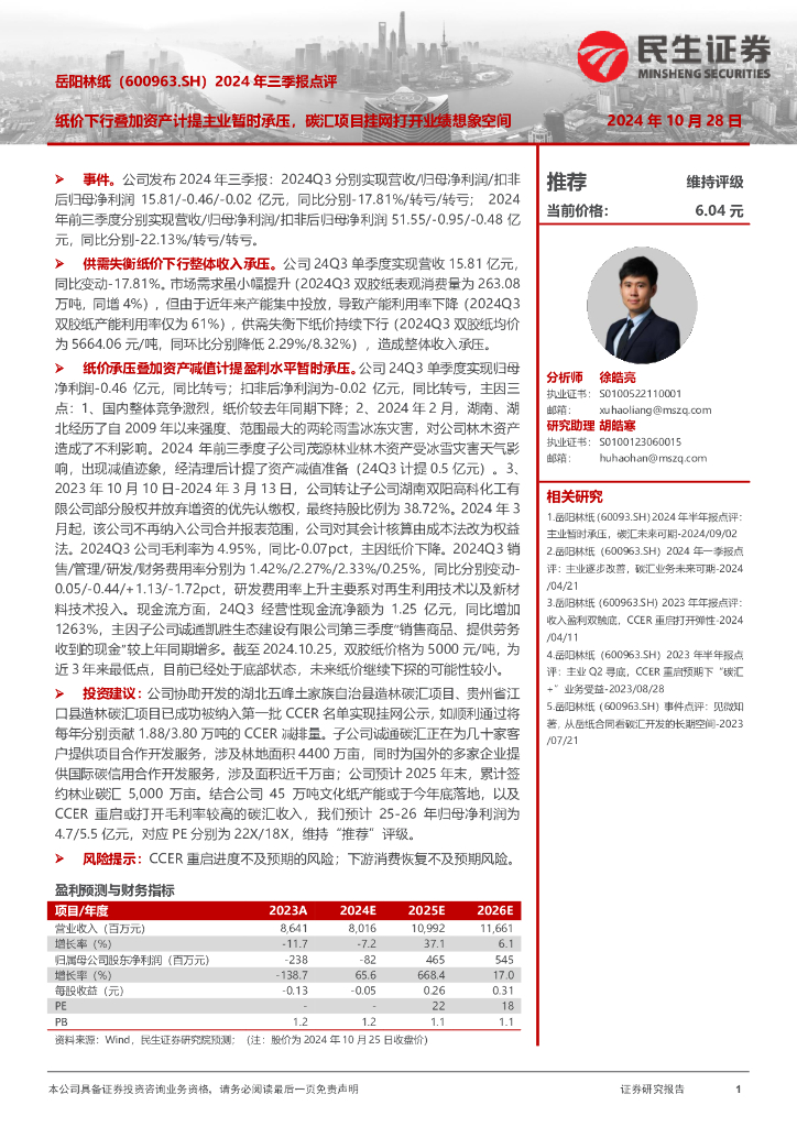民生证券：岳阳林纸（600963）-2024年三季报点评：纸价下行叠加资产计提主业暂时承压，碳汇项目挂网打开业绩想象空间