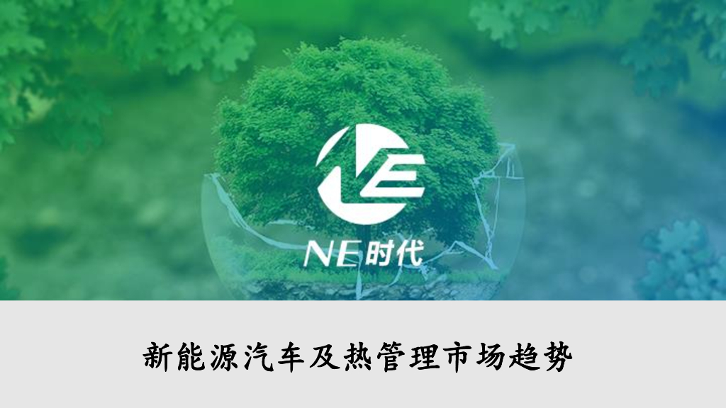 NE时代：2024年新能源汽车及电池热管理市场趋势报告