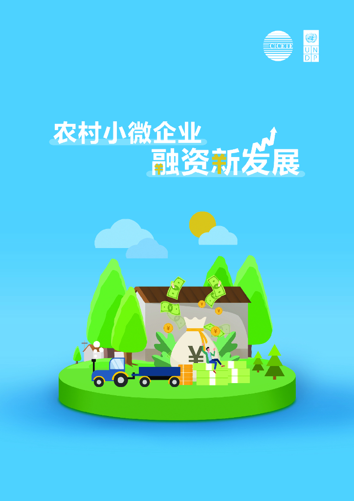 UNDP&CICETE&度小满：2024年农村小微企业融资新发展报告