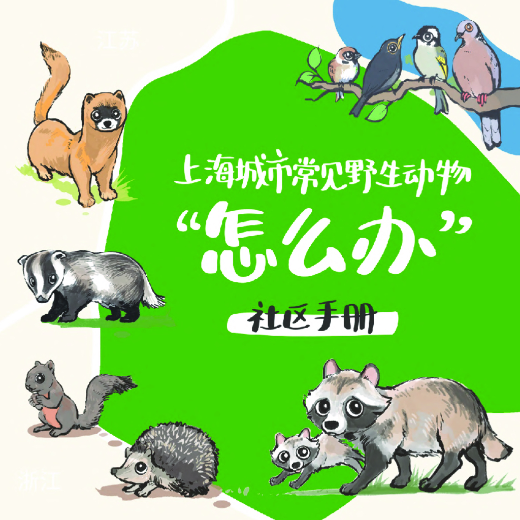 山水自然保护中心：2024年上海城市常见野生动物“怎么办”社区手册