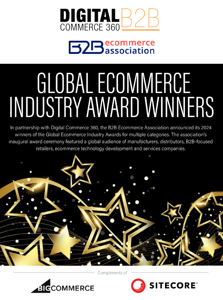 Digital Commerce 360：2024年全球电子商务行业大奖获奖者及成功经验分析报告（英文版）
