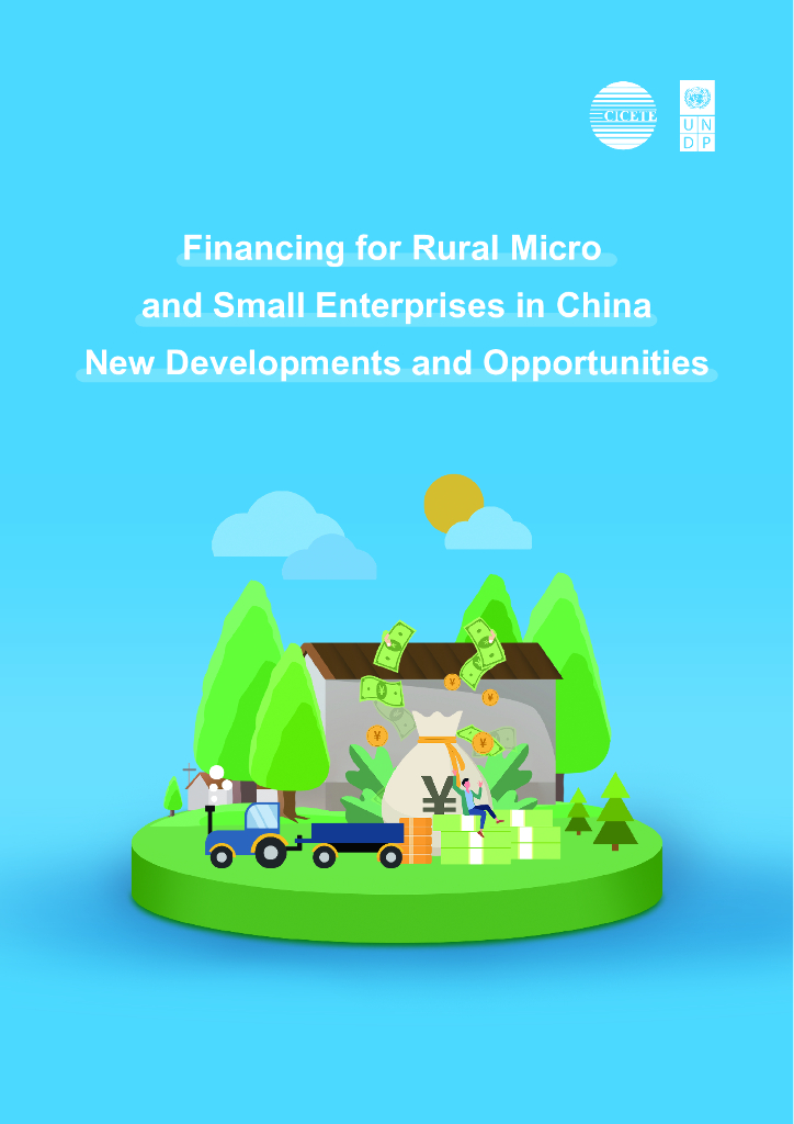 UNDP&CICETE&度小满：2024年农村小微企业融资新发展报告（英文版）