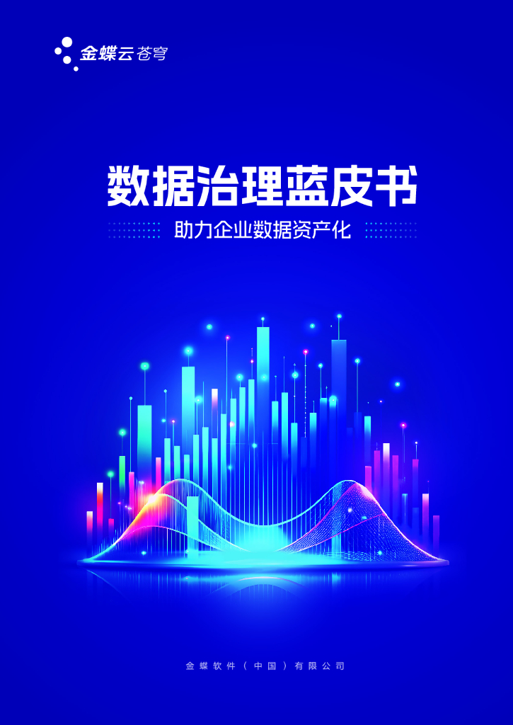 金蝶：2024年数据治理蓝皮书