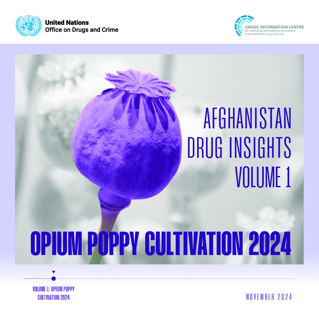 UNODC:2024年阿富汗毒品洞察报告-罂粟<em>种植</em>第1卷(英文版) 海报