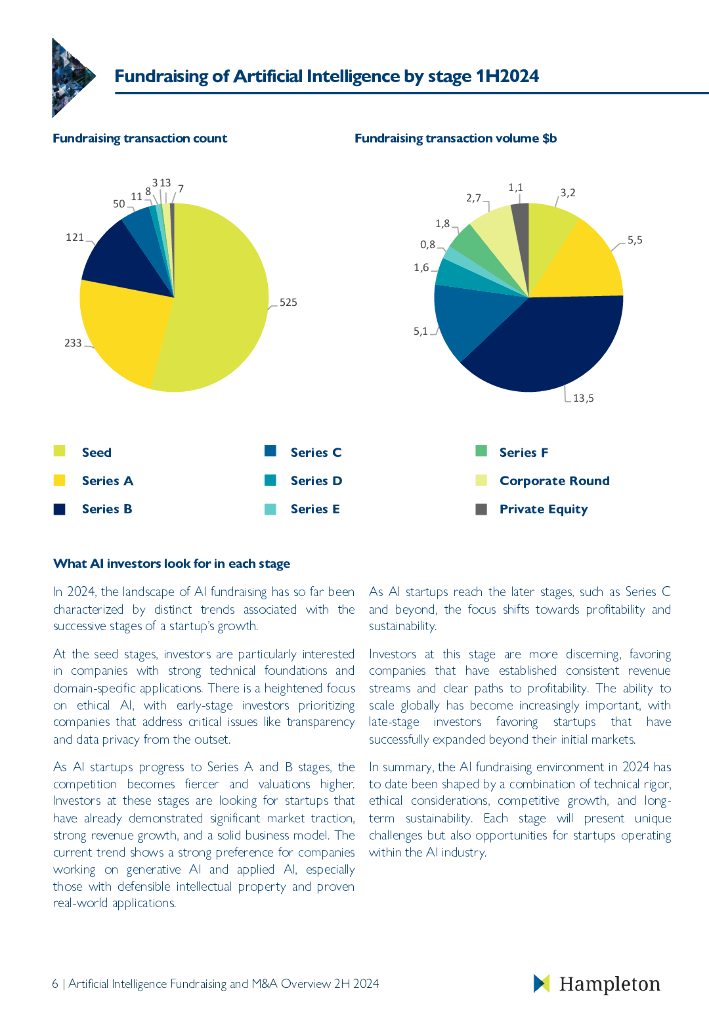 Hampleton：2024年上半年人工智能投融资和并购市场报告（英文版）_第7页