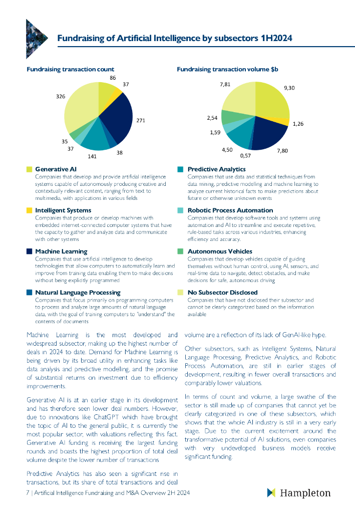 Hampleton：2024年上半年人工智能投融资和并购市场报告（英文版）_第8页