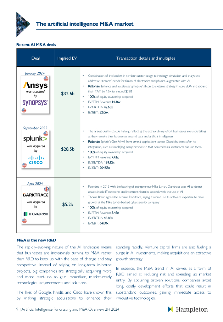 Hampleton：2024年上半年人工智能投融资和并购市场报告（英文版）_第10页