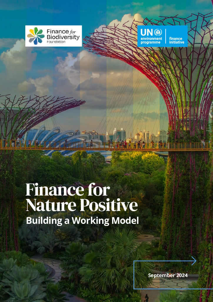 Unepfi：2024年为自然正相关的金融构建一个可行的模型报告（英文版）