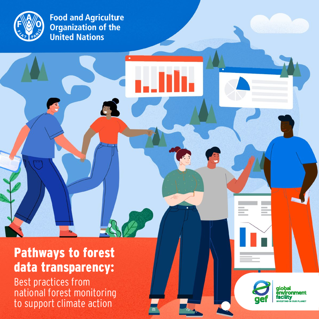 FAO联合国粮农组织：2024年森林数据透明度之路：从国家森林监测到支持气候行动的最佳实践报告（英文版）