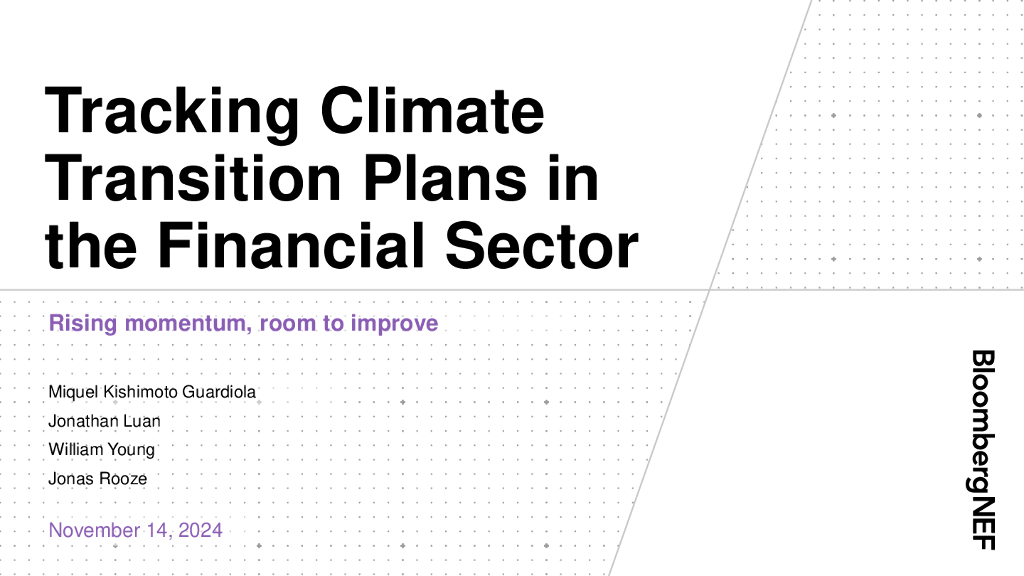 BloombergNEF：2024年跟踪金融部门的气候转型计划报告（英文版）