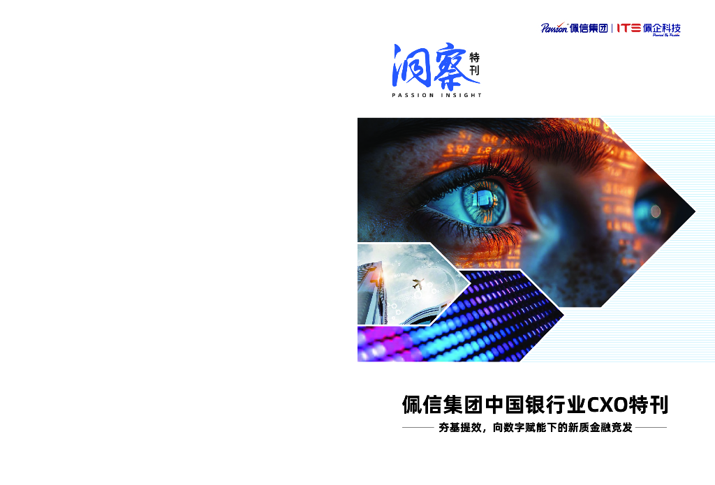 佩信集团：2024年中国银行业CXO特刊：向数字赋能下的新质金融竞发