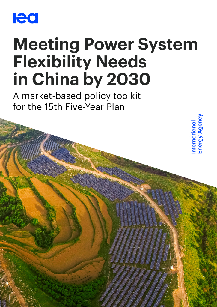国际能源署IEA：2030年中国的电力系统灵活性需求报告（英文版） 海报