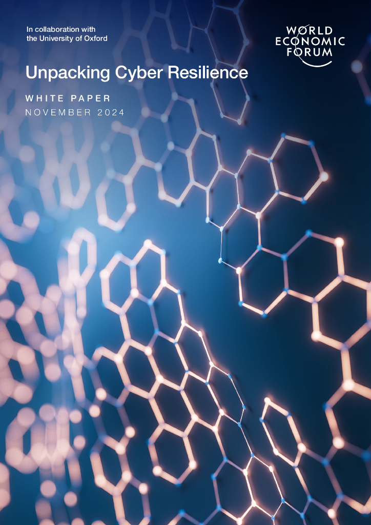 牛津大学&WEF：2024年网络弹性的概念与网络范式演变白皮书（英文版）