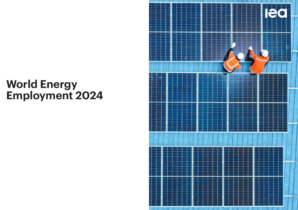 IEA国际能源署：2024年世界能源产业就业报告（英文版）