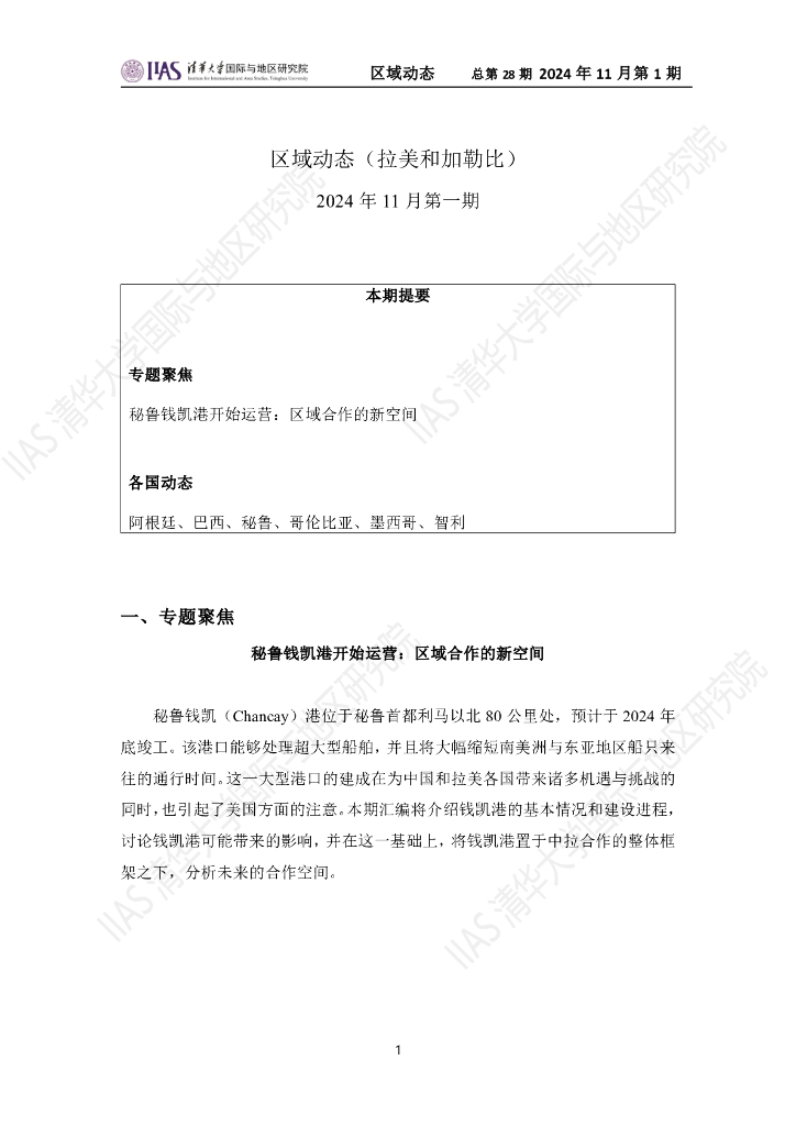 清华大学国际与地区研究院：拉美和加勒比地区《区域动态》2024年11月第一期