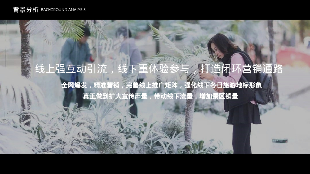 某地某景区2025冬季旅游文化节活动策划案_第9页