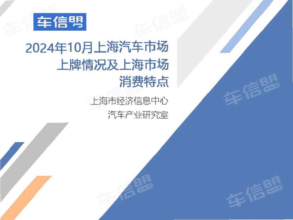 乘联会：2024年10月份上海汽车市场分析报告