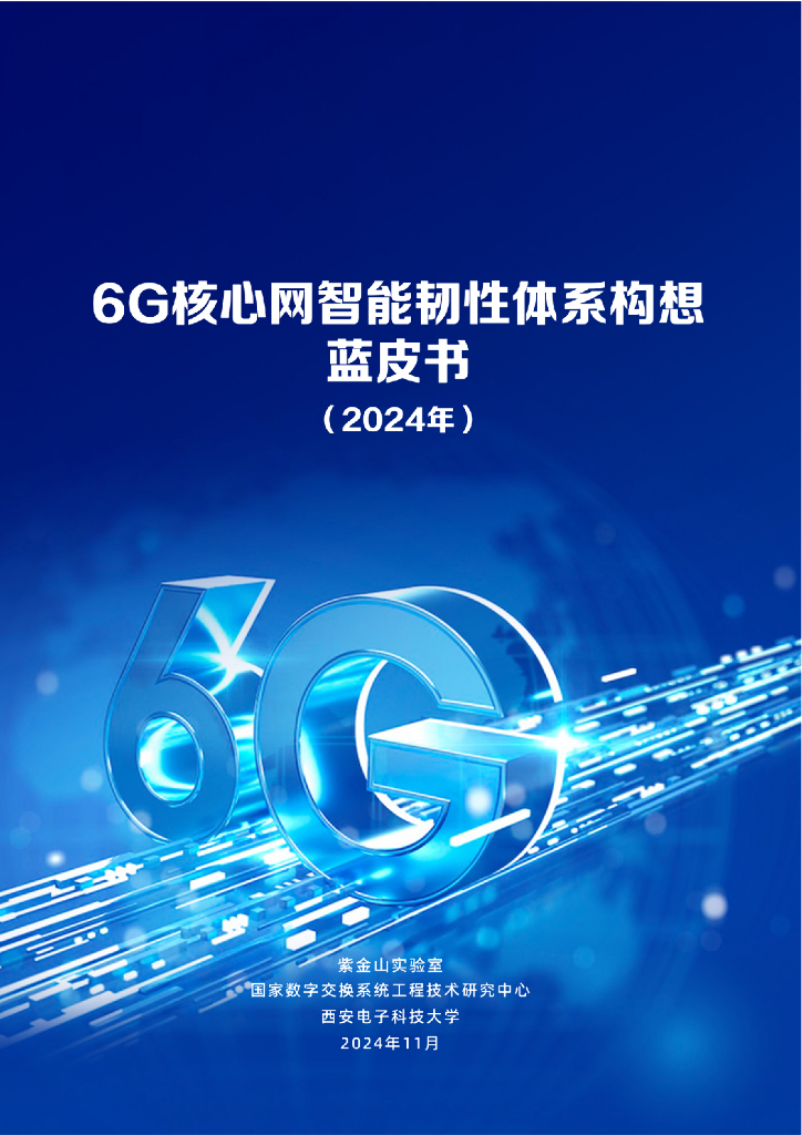 紫金山实验室：6G核心网智能韧性体系构想蓝皮书（2024年）