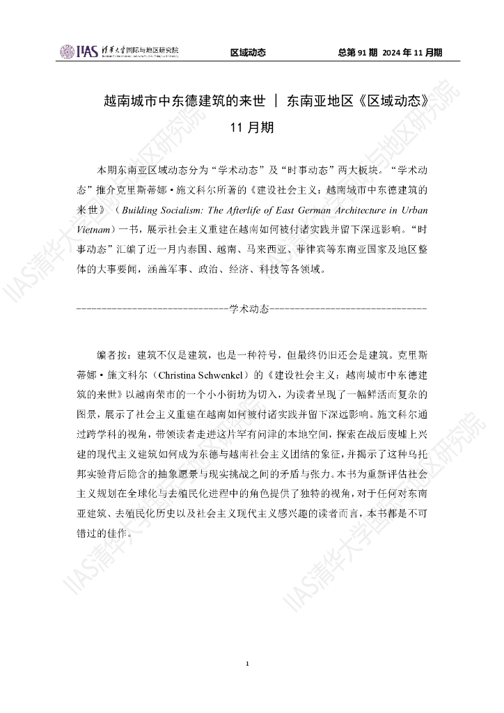 清华大学国际与地区研究院：东南亚地区《区域动态》2024年11月期