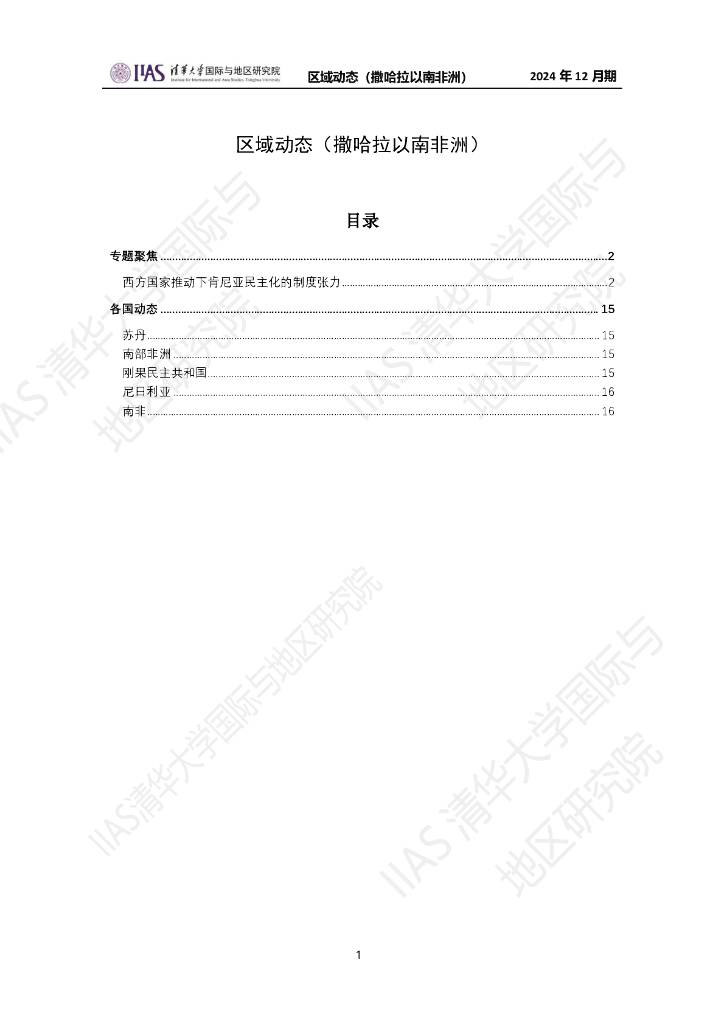 清华大学国际与地区研究院：撒哈拉以南非洲地区《区域动态》2024年12月期
