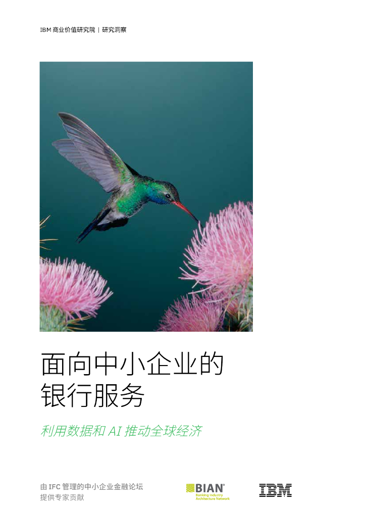 IBM商业价值研究院：2024年面向中小企业的银行服务-利用数据和AI推动全球经济报告