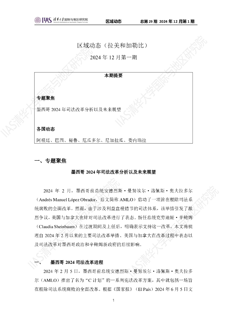 清华大学国际与地区研究院：拉美和加勒比地区《区域动态》2024年12月第一期