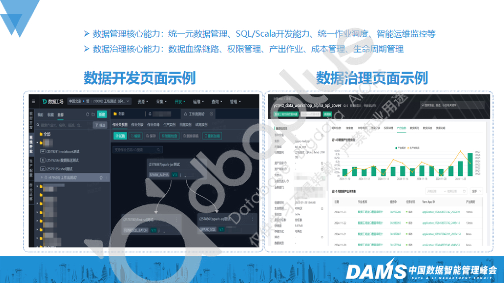 何婵：小米AI数据管理落地实践_第7页