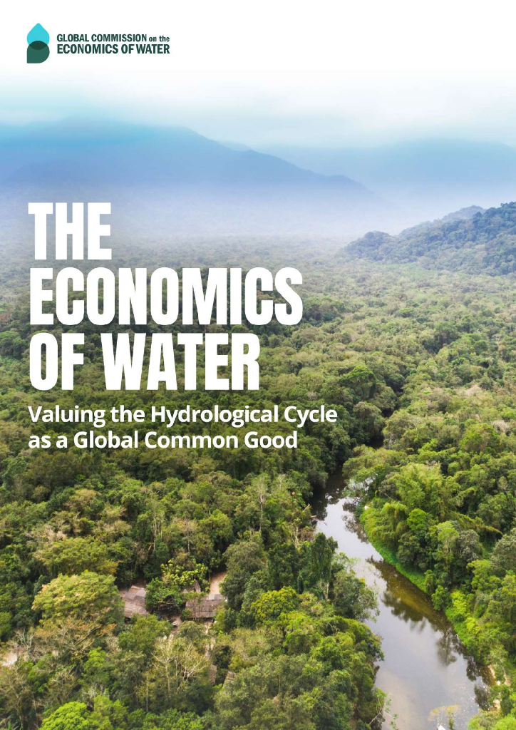 全球水经济委员会：2024年重视水文循环作为全球共同利益报告（英文版）