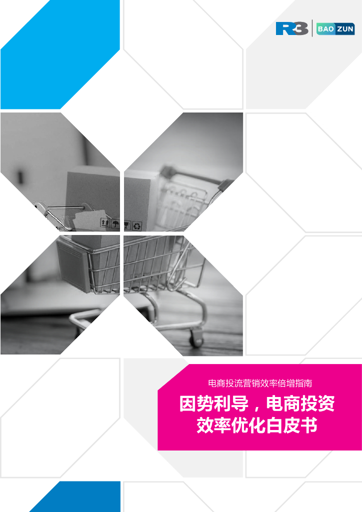 胜三咨询&宝尊电商：2024年因势利导电商投资效率优化白皮书