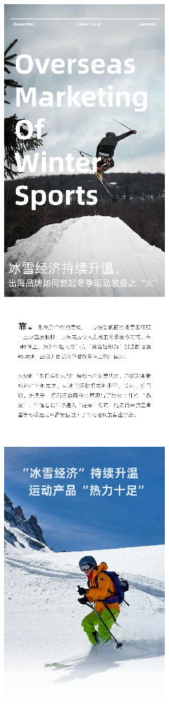 西窗科技：2024年全球冬季运动装备市场分析报告