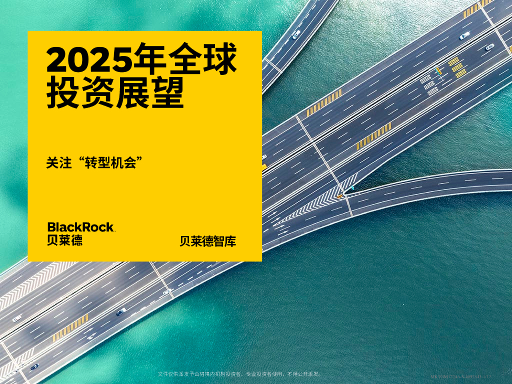 贝莱德：2025年全球投资展望报告