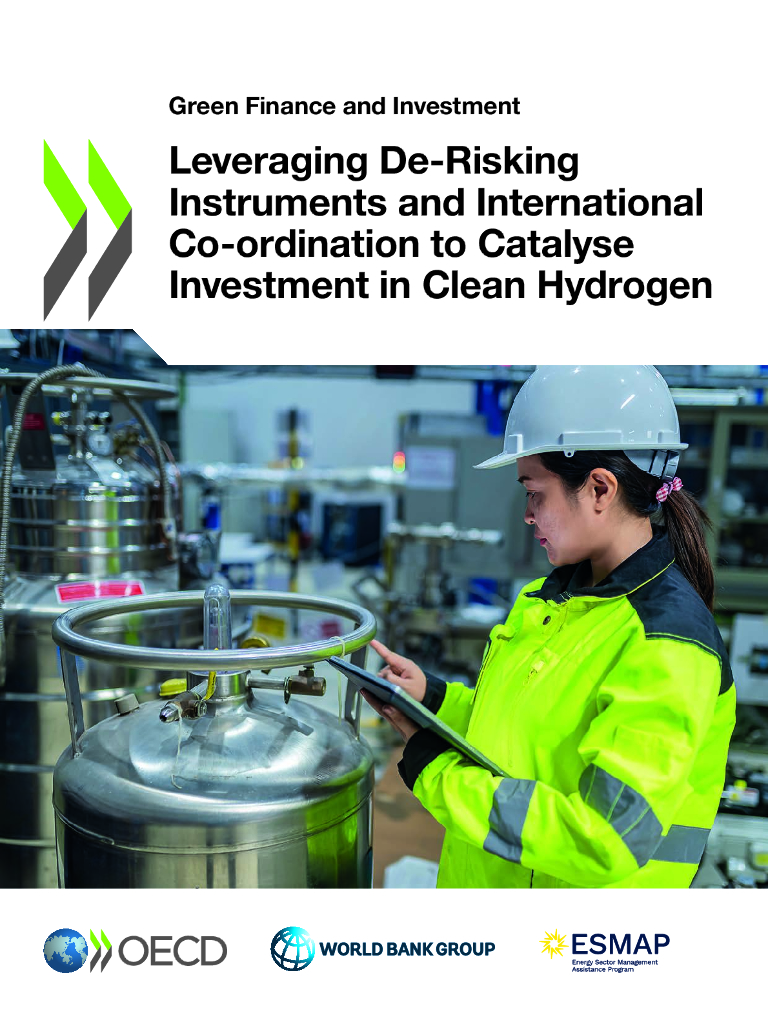 OECD经合组织：2024年利用去风险工具和国际合作促进对清洁氢的投资报告（英文版）