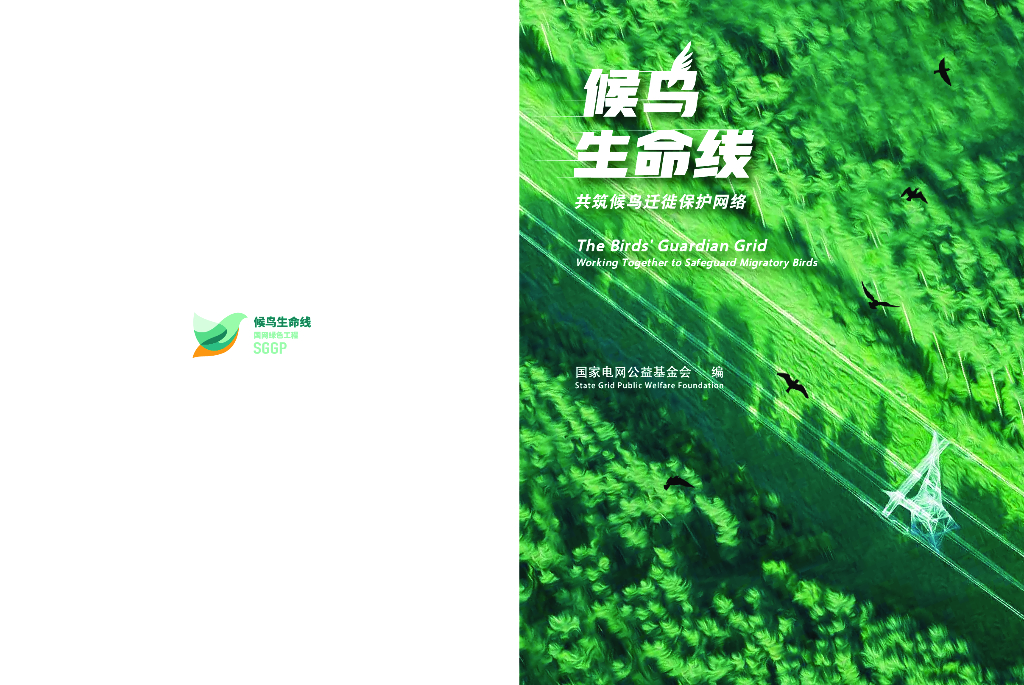 国家电网：2024年候鸟生命线-共筑候鸟迁徙保护网络报告（中英版）