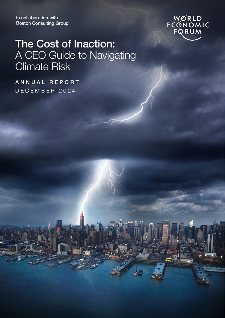 世界经济论坛&BCG：2024年不作为的代价：CEO驾驭气候风险指南报告（英文版）