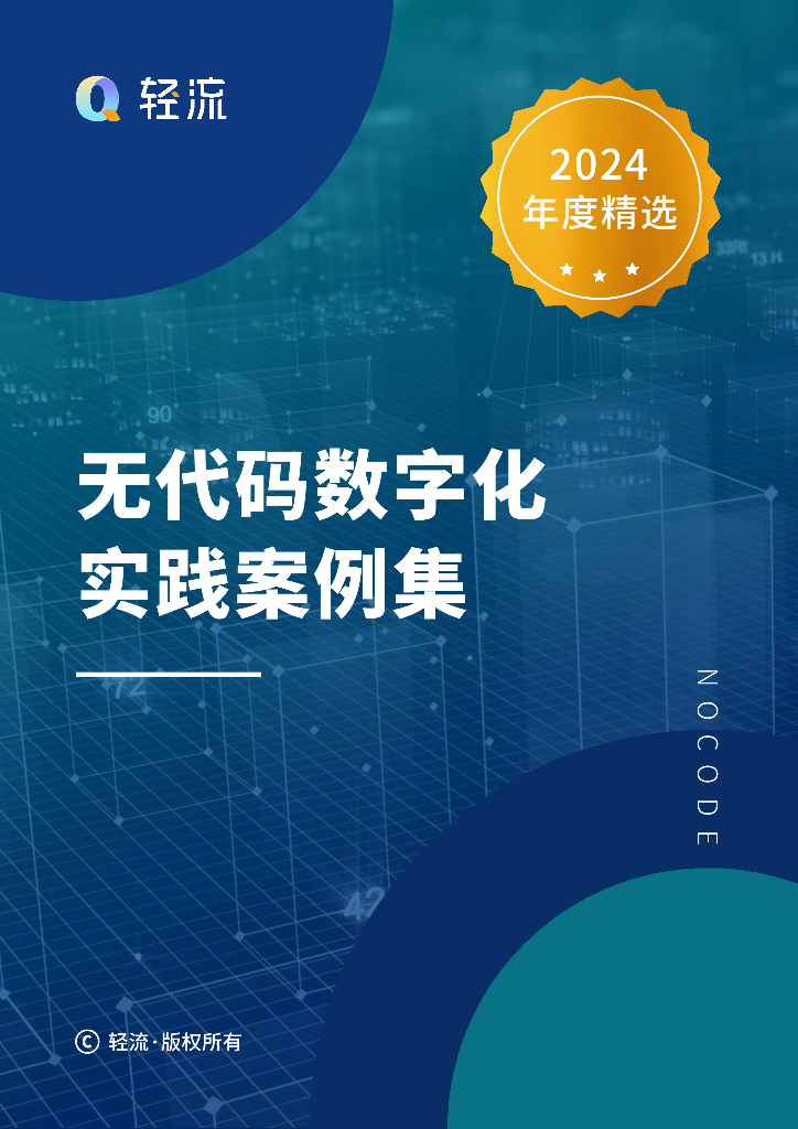 轻流：无代码数字化实践案例集——2024年度精选