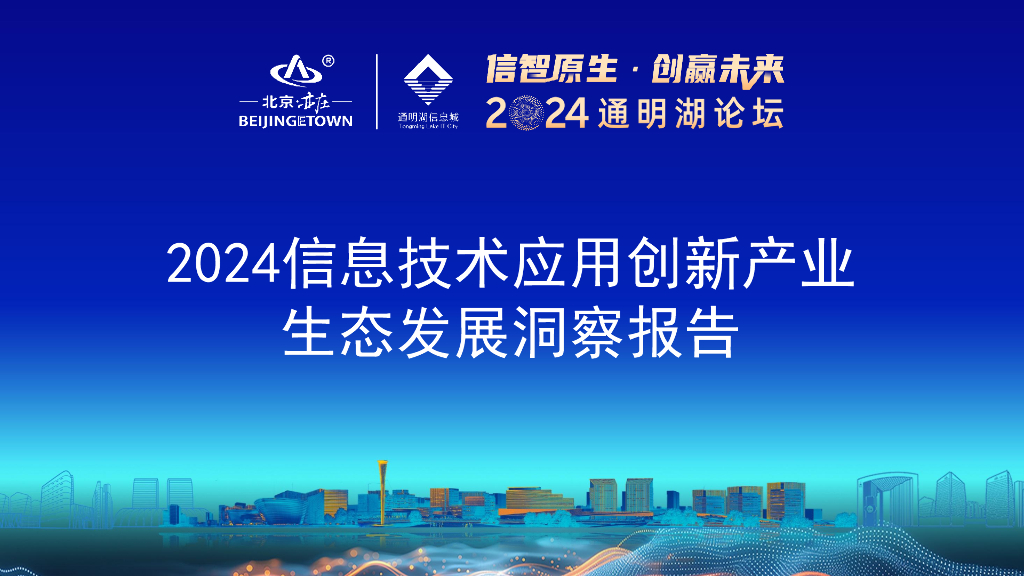 BP商业伙伴：2024年信息技术应用创新产业生态发展洞察报告