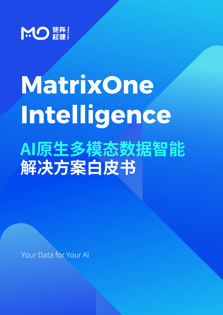 矩阵起源：2025年AI原生多模态数据智能解决方案白皮书