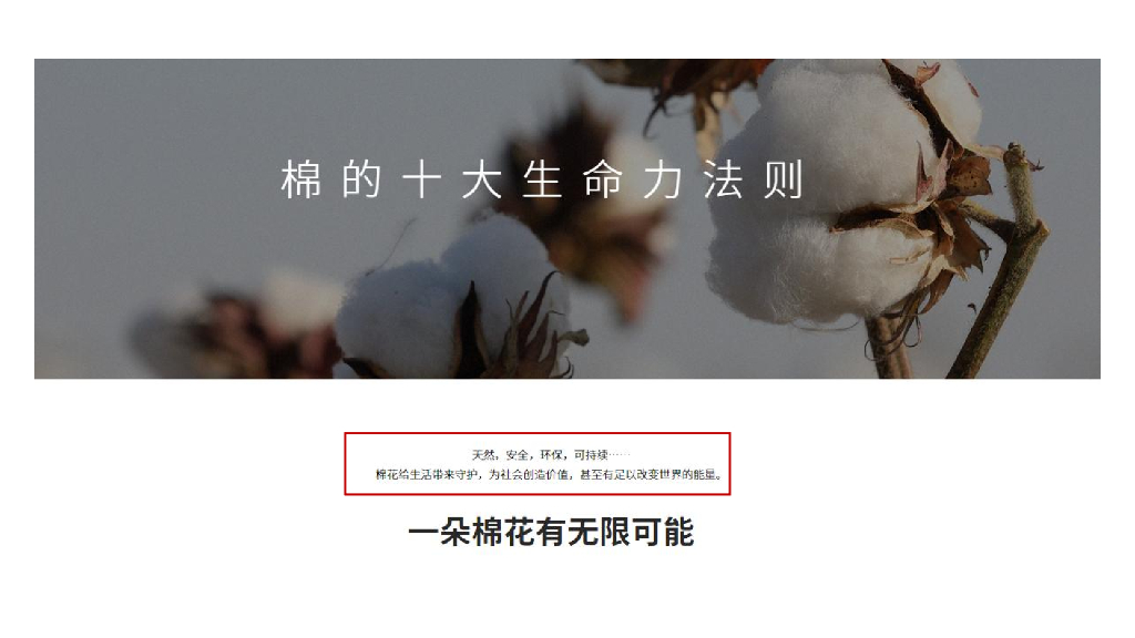 儿童内衣品牌升级方案及产品规划策略_第7页