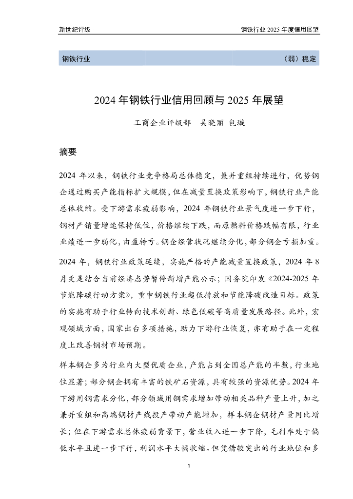 新世纪评级：2024年钢铁行业信用回顾与2025年展望报告