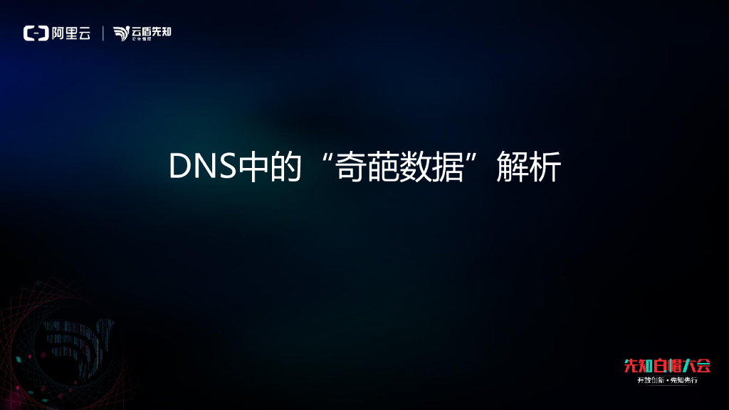 360网络安全研究院：DNS中的“奇葩数据”解析