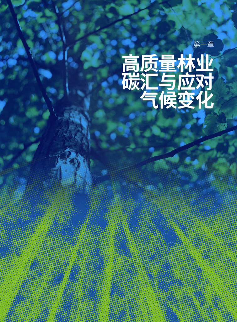 碳中和国际研究院：2024年减碳绿途-通向中国高质量林业碳汇交易之路报告_第7页