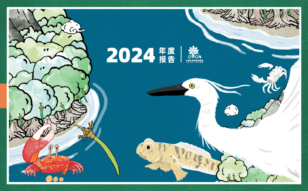 中国红树林保育联盟：CMCN 2024年度报告