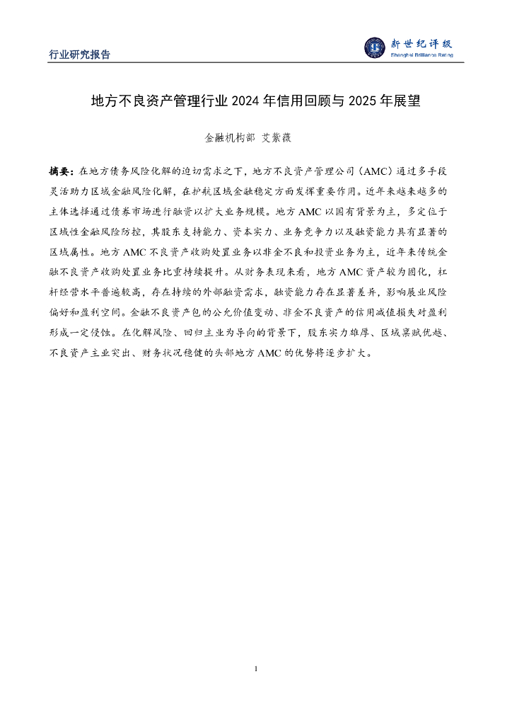 新世纪评级：地方不良资产管理行业2024年信用回顾与2025年展望报告