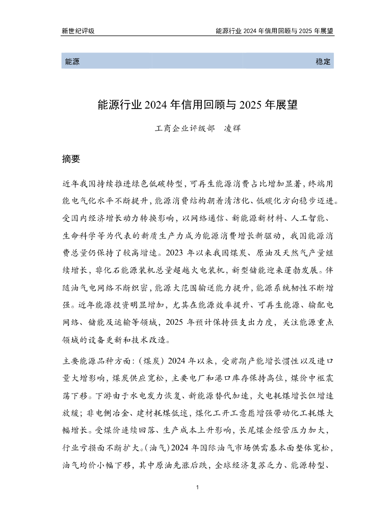 新世纪评级：<em>能源</em>行业2024年信用回顾与2025年展望报告 海报